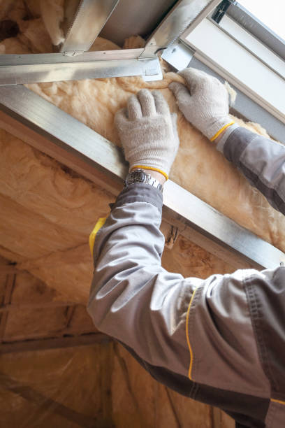 Best Cellulose Insulation in Sleepy Hollow, CA